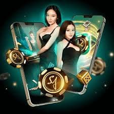 luck8855